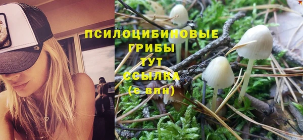 метамфетамин Алзамай